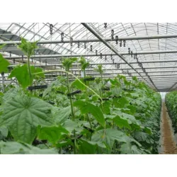Set 100 buc Bucla agatatoare (agrafa palisare) din plastic pentru p...