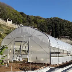 Solarii gradina complete 7m latime