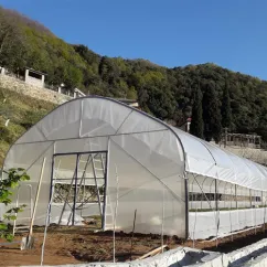 Solarii gradina complete 7m latime