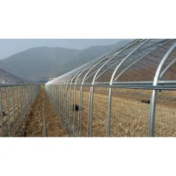 Solarii gradina complete 7m latime