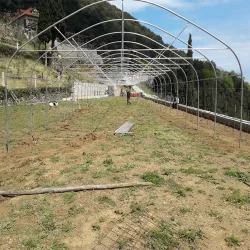 Solarii gradina complete 7m latime