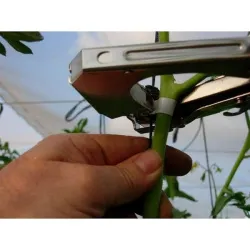 Aparat cleste Original Coreea de legat vita de vie si plante urcatoare