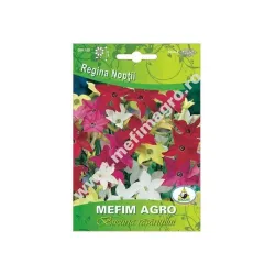 Seminte Hobby flori regina noptii mix 0.3gr