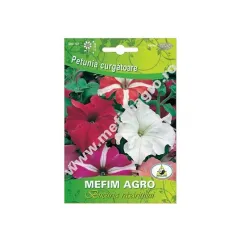 Seminte hobby flori petunia curgatoare mix 0.1gr