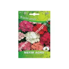Seminte flori muscate zonale mis 0.02gr