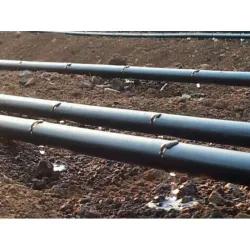 BANDA PICURARE PROFESIONALA AGRONOMAT 6MIL 16MM 100M, 200M