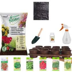 Kit plantare interactiv Agronomat, Micutul Gradinar pentru copii cu...