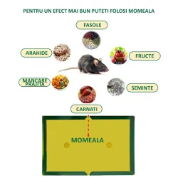 Capcana cu lipici puternic pentru soareci