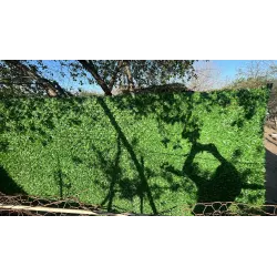 Plasa gard viu artificial imitatie Gard viu plasa paravan verde 1M,...