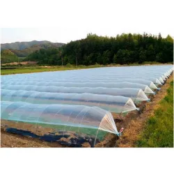 Tija fibra de sticla minituneluri Agronomat pentru timpurietatea cu...