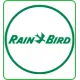 Rain Brid