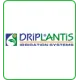 Driplantis